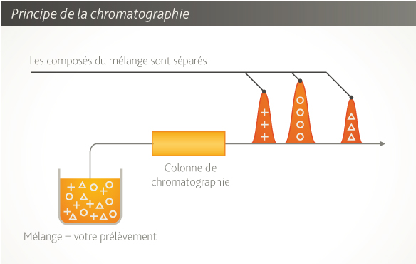 Principe_chromatographie